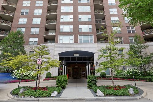 1301 N Dearborn Unit 308, Chicago, IL 60610