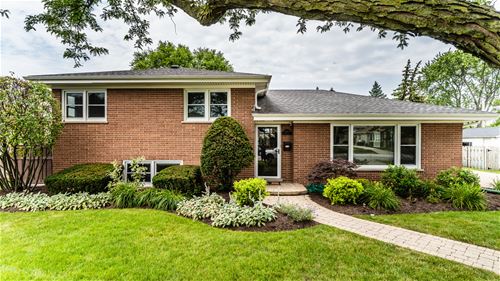 1120 N Cumberland, Park Ridge, IL 60068