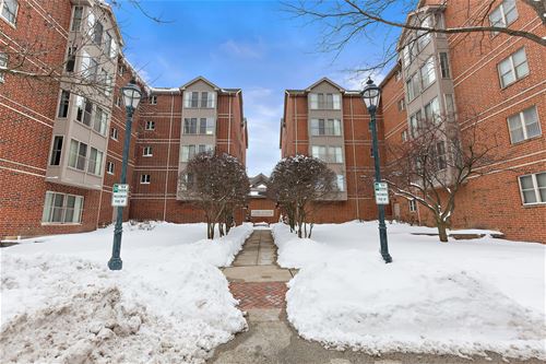 27 E Hattendorf Unit 517, Roselle, IL 60172