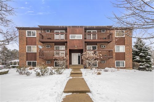 669 Daisy Unit 104, Roselle, IL 60172