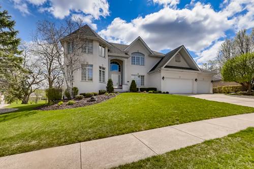 13917 Persimmon, Orland Park, IL 60467