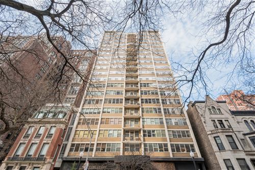 40 E Cedar Unit 7A, Chicago, IL 60611