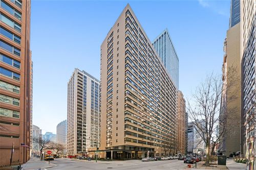 850 N Dewitt Unit 6E, Chicago, IL 60611