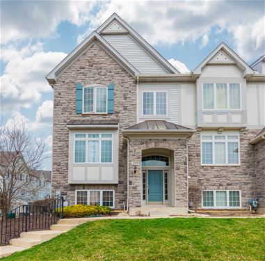 289 Sype, Carol Stream, IL 60188