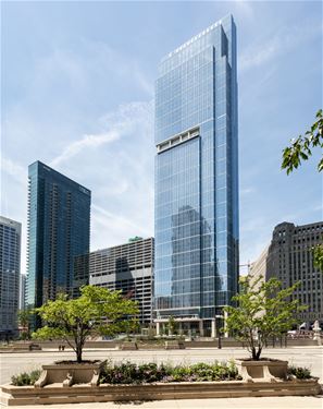 313 W Wolf Point Unit 5606, Chicago, IL 60654