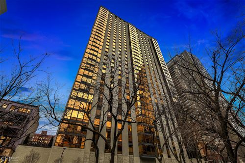 100 E Bellevue Unit 27D, Chicago, IL 60611