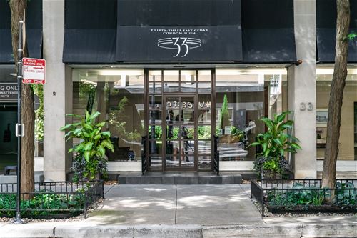 33 E Cedar Unit 10G, Chicago, IL 60611