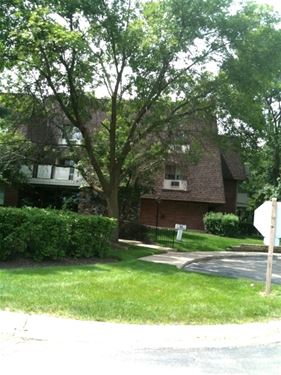 6 Villa Verde Unit 309, Buffalo Grove, IL 60089