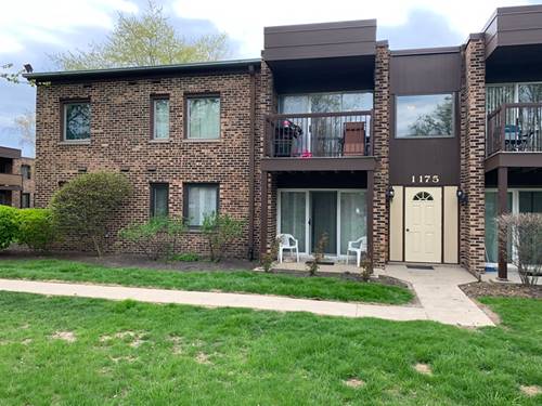 1175 Pleasant Run Unit 401, Wheeling, IL 60090