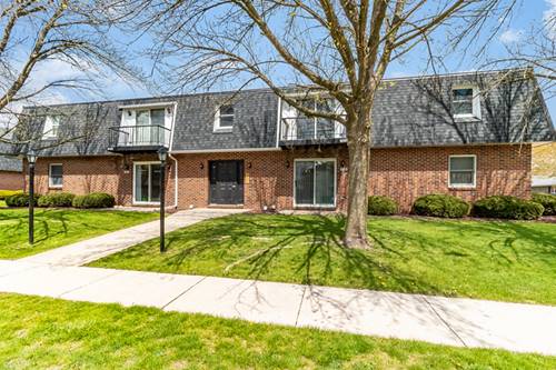 1323 Buell Unit D, Joliet, IL 60435