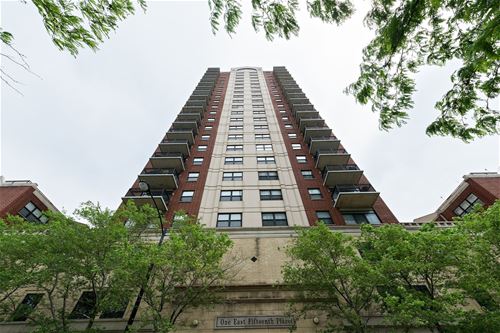 1529 S State Unit TH2, Chicago, IL 60605