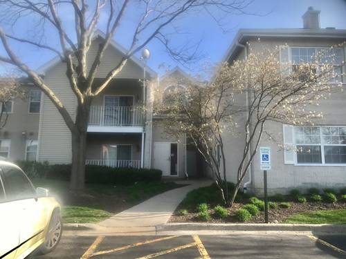 798 N Gary Unit 213, Carol Stream, IL 60188