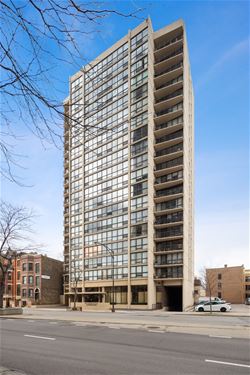 1540 N Lasalle Unit 308, Chicago, IL 60610