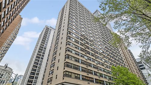 850 N Dewitt Unit 3F, Chicago, IL 60611