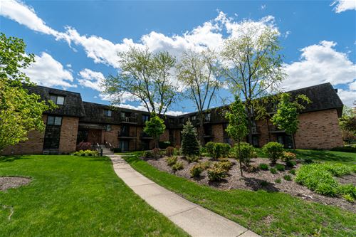 10 Oak Creek Unit 2016, Buffalo Grove, IL 60089