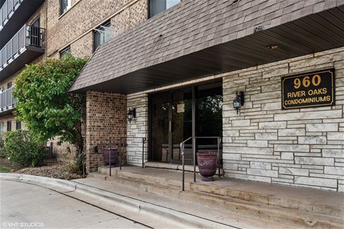 960 S Des Plaines River Unit 501, Des Plaines, IL 60016