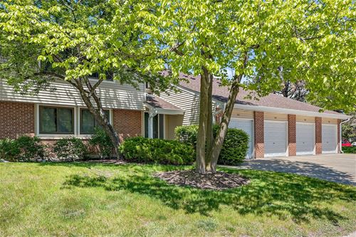 975 Pinetree Unit 975, Buffalo Grove, IL 60089