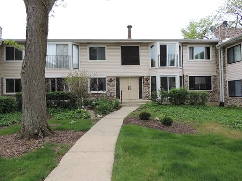 2900 Mitchell Unit 5, Woodridge, IL 60517