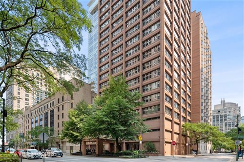 247 E Chestnut Unit 2004, Chicago, IL 60611