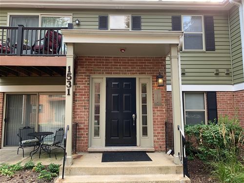 1531 Raymond Unit 103, Naperville, IL 60563