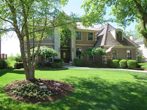 10615 Misty Hill, Orland Park, IL 60462