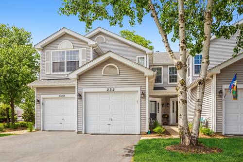 232 Meribel Unit 0, Schaumburg, IL 60194