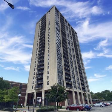 3001 S Michigan Unit 1302, Chicago, IL 60616