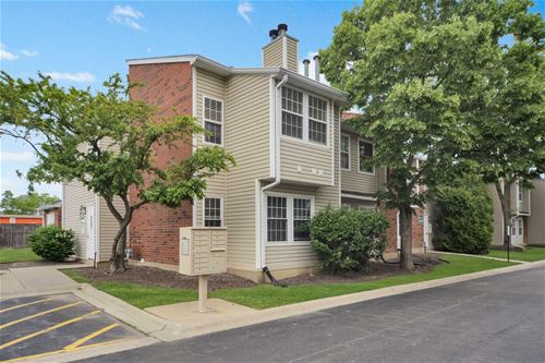 1349 E Wyndham Unit 206, Palatine, IL 60074