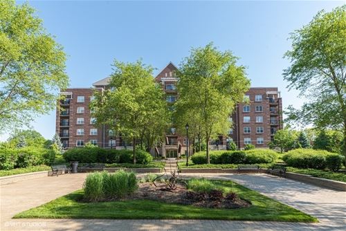 440 W Mahogany Unit 412, Palatine, IL 60067