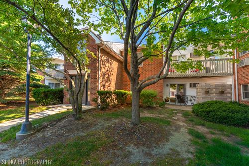 1331 Cunat Unit 1D, Lake In The Hills, IL 60156