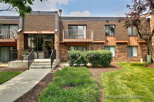 714 Tullamore Unit 2D, Schaumburg, IL 60193