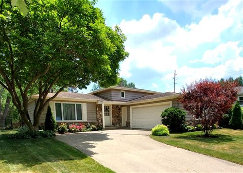 825 Prague, Buffalo Grove, IL 60089