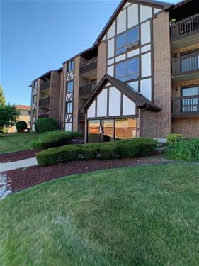 10320 Central Unit 207, Oak Lawn, IL 60453