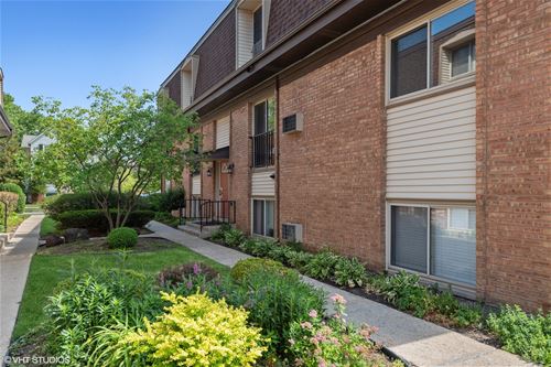 1243 E Washington Unit C204, Des Plaines, IL 60016