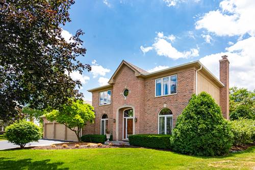 207 E Ryan, Arlington Heights, IL 60005