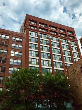 633 S Plymouth Unit 301, Chicago, IL 60605