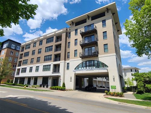 940 Maple Unit 407, Downers Grove, IL 60515