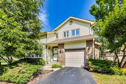 450 W Ivy, Arlington Heights, IL 60004