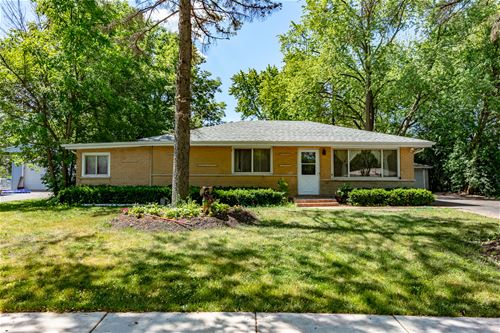 981 E Tulip, Palatine, IL 60074