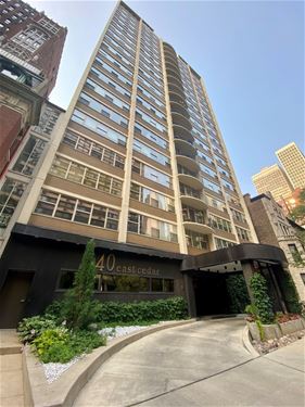 40 E Cedar Unit 12B, Chicago, IL 60611