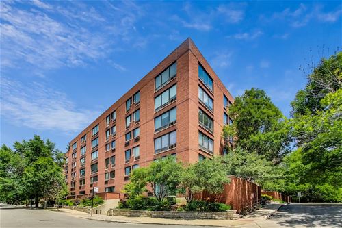 1169 S Plymouth Unit 120, Chicago, IL 60605