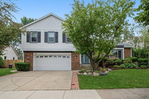 31 W Fabish, Buffalo Grove, IL 60089