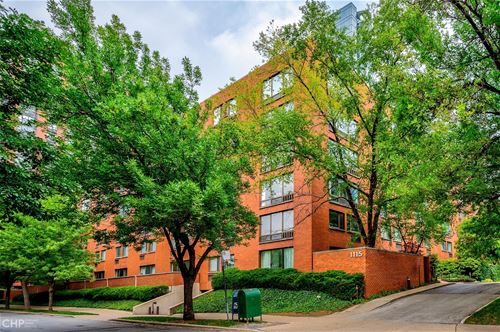 1115 S Plymouth Unit 113, Chicago, IL 60605