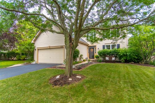 11341 S Marathon, Plainfield, IL 60585