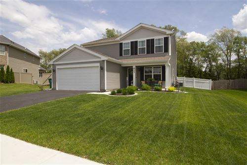 411 S Stone Brook, Romeoville, IL 60446