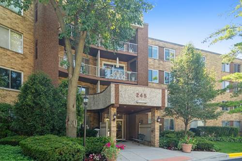 245 S Park Unit 310, Palatine, IL 60074