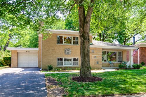 811 S Main, Mount Prospect, IL 60056