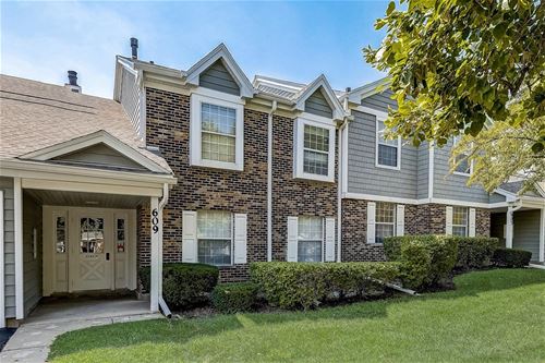 609 Fairbanks Unit X1, Schaumburg, IL 60194