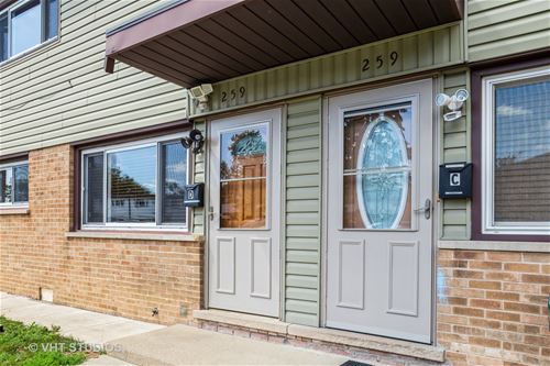 259 Dover Unit D, Des Plaines, IL 60018