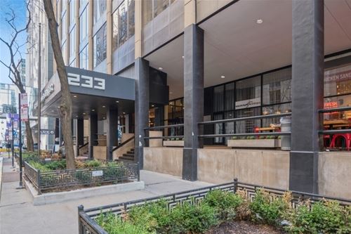 233 E Erie Unit 1301, Chicago, IL 60611